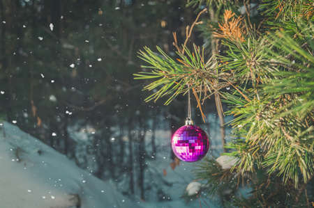 Blurred shiny glass ball hangs on a branch of a Christmas tree. Christmas decoration. Preparing for New Year. Selective focus, copy space, outsideの写真素材