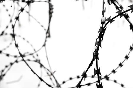 Barbed wire in the snow close-up. Abstraction, selective focusの写真素材
