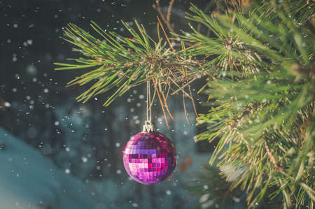 Blurred shiny glass ball hangs on a branch of a Christmas tree. Christmas decoration. Preparing for New Year. Selective focus, copy space, outsideの写真素材