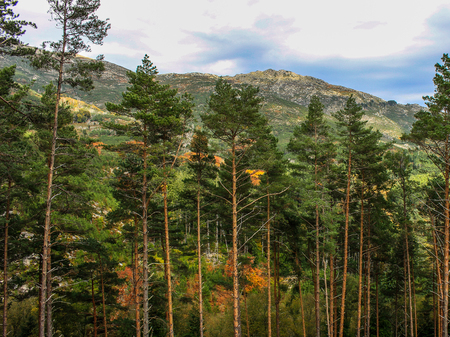Mountains in Portugalの写真素材