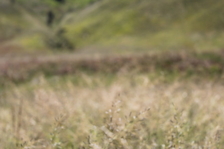 Savanna with a backdrop of hills and mountains, in Bromo Tengger Semeru National Park, East Java, Indonesiaの写真素材