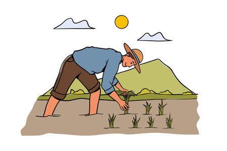Farmer planting rice in paddy field. Asian rice field with worker. Traditional agriculture, Vector illustrationのイラスト素材