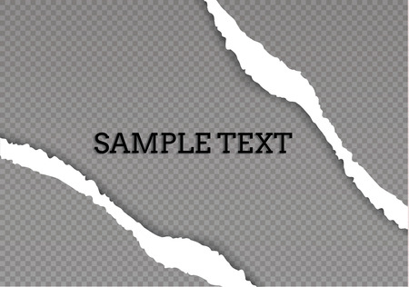 Seamless ripped paper and transparent background with space for text, vector art and illustration.のイラスト素材