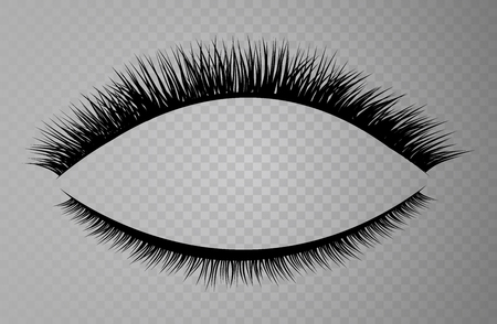 Vector realistic collection of false lashes. Trendy fashion illustration for mascara pack or beauty products design. Feminine eyelashes set on white background.のイラスト素材