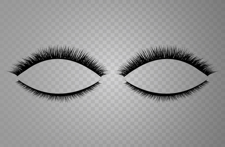 Vector realistic collection of false lashes. Trendy fashion illustration for mascara pack or beauty products design. Feminine eyelashes set on white background.のイラスト素材