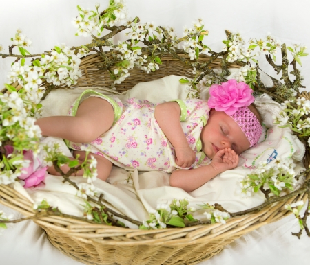 Baby girl sleeping inside of basket with spring flowers  4 weeks old の写真素材