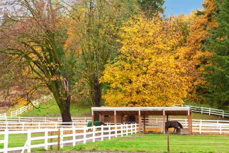Northwest horse rach with fall changing leaves and white fence.の写真素材