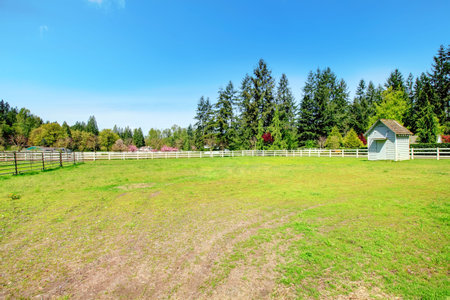 Beautiful green country side horse farm with wooden fence.