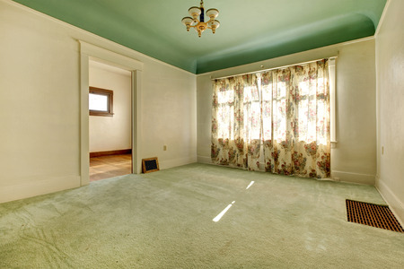 Empty room with green ceiling and olive carpet floor. View of the walk-in closetの写真素材