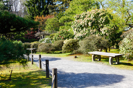 Beautiful green japanese garden during summer time. View of walkway with benchesの写真素材