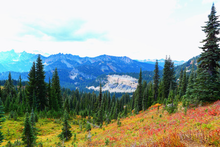 Mount Rainier national park, Washingtonの写真素材