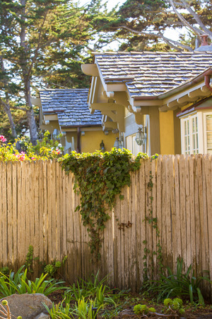 American house with wooden fence covered in natural ivy vinesの写真素材