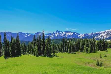 Summer Hike ner Mt.Rainier on Sunrise trail. Cascades with volcano and beautiful view of glacier.の写真素材