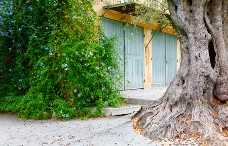 Nice, France - October 17, 2011: Renoir Museum near Nice, France. Cagnes-sur-Mer - village. . The house where Renoir resided during the last years of his life. Exhibits include 10 original paintings and his personal possessions.のeditorial素材