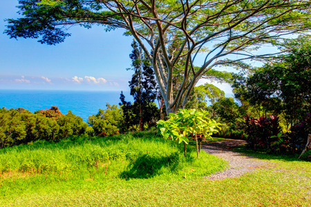 A tropical garden with flowers and palm trees overlooking the ocean with blue sky. Garden Of Eden, Maui Hawaiiのeditorial素材