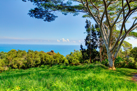 A tropical garden with flowers and palm trees overlooking the ocean with blue sky. Garden Of Eden, Maui Hawaiiのeditorial素材