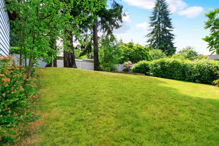 Backyard well kept lawn, nicely trimmed grass and bushes . Northwest, USA