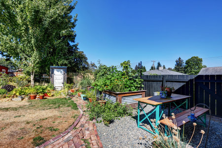Fenced Back yard with vegetable beds . American rambler house. Northwest, USA