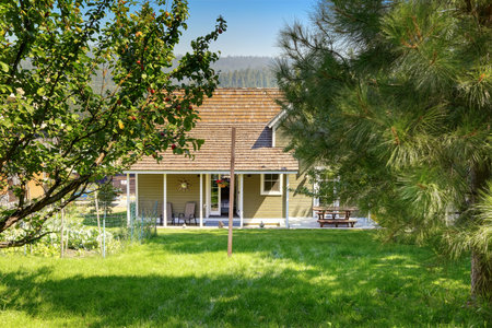 Green backyard garden with trees and vegetable beds. House exterior. Northwest, USA