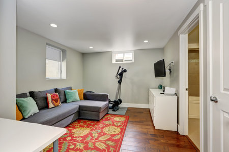 Sitting room interior with sport equipment and TV in the basement. There is a grey sofa with colorful pillows on a red floral accent rug. Northwest, USA