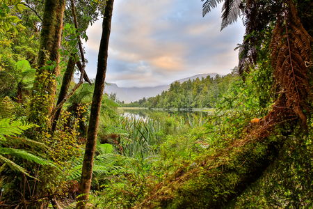 Lake Moeraki located in New Zealand, South Island.の写真素材