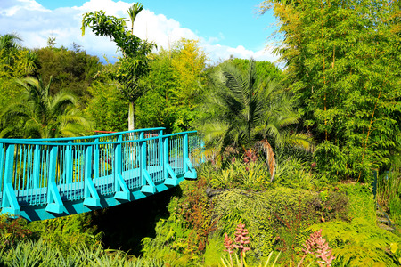 Hamilton Gardens tropical garden. Hamilton, New Zealand.の写真素材