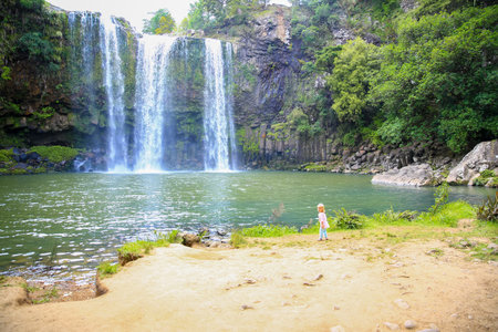 Little girl enjoying Spectacular view of Whangarei Falls,  New Zealand.の写真素材