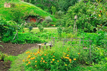 MATAMATA, NEW ZEALAND - JANUARY 15, 2015: Hobbiton - fictional village created for the movie Lord of the Rings.のeditorial素材