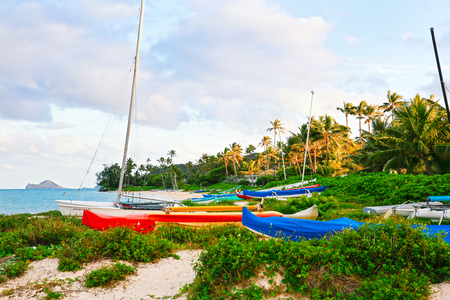 View of covered boats on the beach . Oahu , New Zealandの写真素材