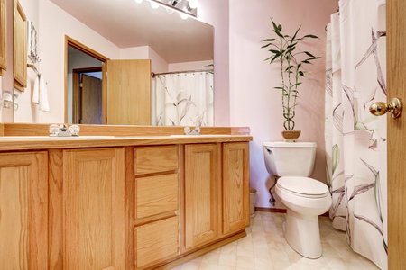 Bathroom interior with light pink walls and double sink vanity, large mirror with lights and shower cabin with floral patterned curtain. Northwest, USAの写真素材
