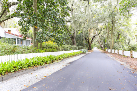 ISLE OF HOPE, GA USA - NOVEMBER 1, 2013: Beautiful homes surrounded by oak trees with Spanish moss in the historic residential districtのeditorial素材