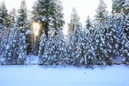 SNow covered beautiful old American rustic country side landscape with bridge, trail and water canal. Peaceful and inspiring.の写真素材