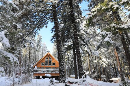 Winterland with pine trees and house exterior in the mountains.の写真素材