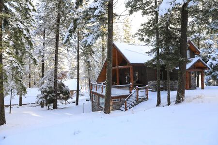 Winterland with pine trees and house exterior in the mountains.の写真素材