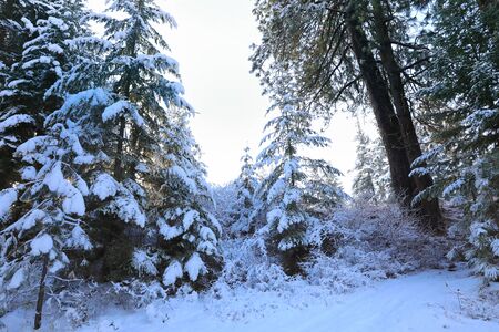 SNow covered beautiful old American rustic country side landscape with bridge, trail and water canal. Peaceful and inspiring.の写真素材