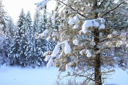 SNow covered beautiful old American rustic country side landscape with bridge, trail and water canal. Peaceful and inspiring.の写真素材