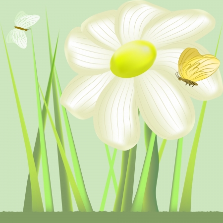 Natural background concept selectionのイラスト素材