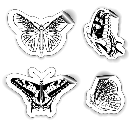 set of four stickers in the form of butterflies of in black and white colorsのイラスト素材