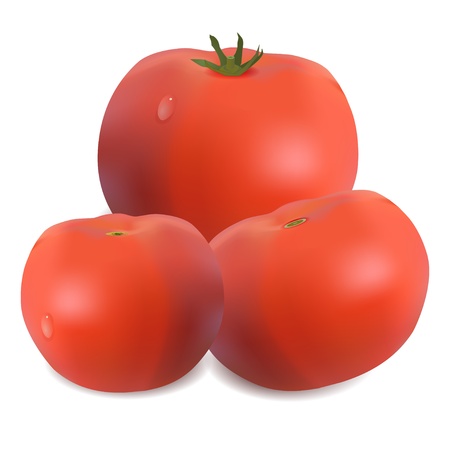 Three tomatoes isolated on white. のイラスト素材