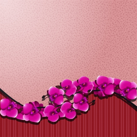 Flower invitation or greeting card with orchids illustrationのイラスト素材