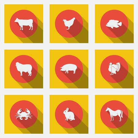 Fashionable flat icons with long shadows types of meat products. Nine animals on a bright background. Vector illustration.のイラスト素材