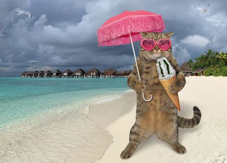 The beige cat in sunglasses under a pink straw umbrella is eating a ice cream cone on the tropical beach of Maldives.の写真素材
