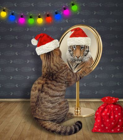 The beige cat in a red Santa Claus hat with a bag of Christmas gifts looks at his reflection in the mirror at home. It sees a tiger there. の写真素材