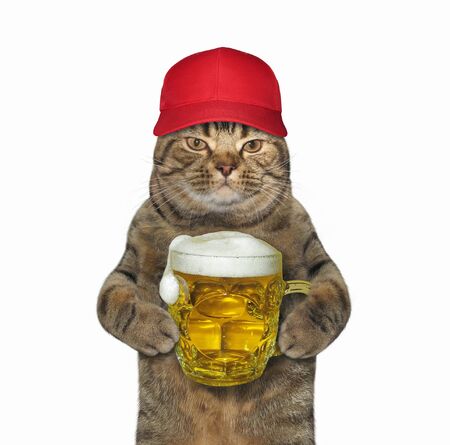 The cat in a red cap is holding a mug of beer. White background. Isolated.の写真素材