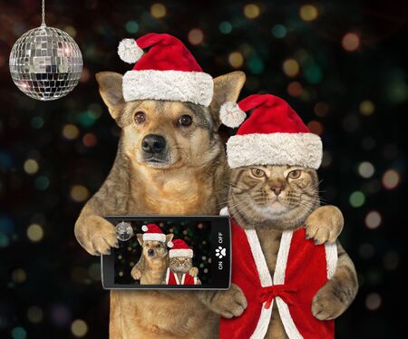 The dog with a smartphone and the cat in a Santa Claus outfit made selfie together at the New Year party.の写真素材