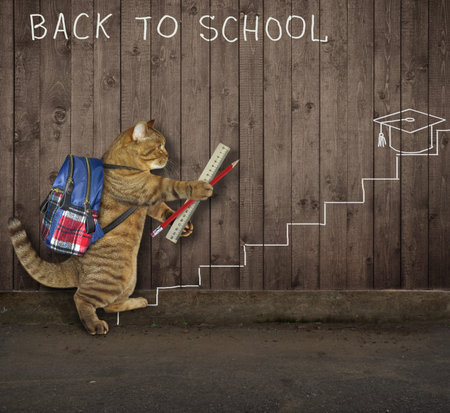 The smart cat with a backpack holds a pencil and a ruler near the wooden fence. He wants to study. Back to school.の写真素材