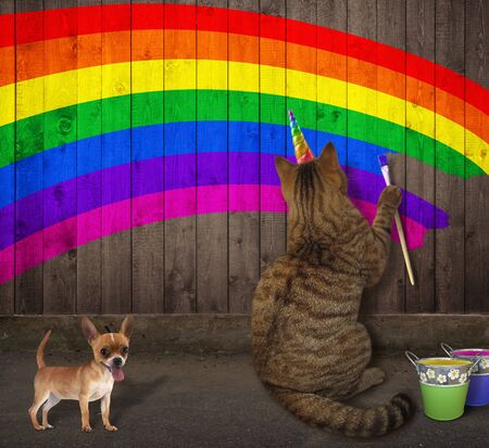 The beige cat unicorn with his dog is drawing a rainbow on a wooden fence on the street.の写真素材