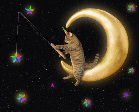 The cat unicorn is catchting space stars with a fishing rod on the comfortable moon.の写真素材