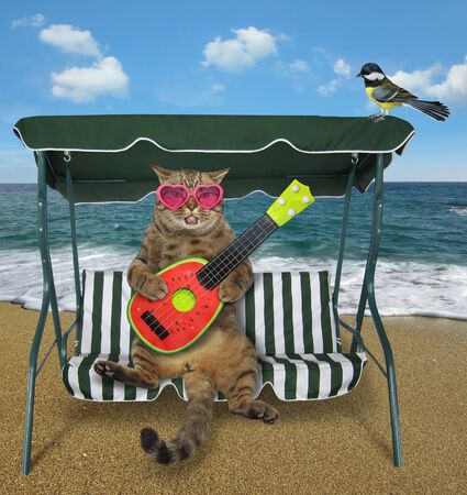 The beige cat in pink heart shaped sunglasses is playing a watermelon acoustic guitar and singing a song on a swing bench on the beach of the sea.の写真素材