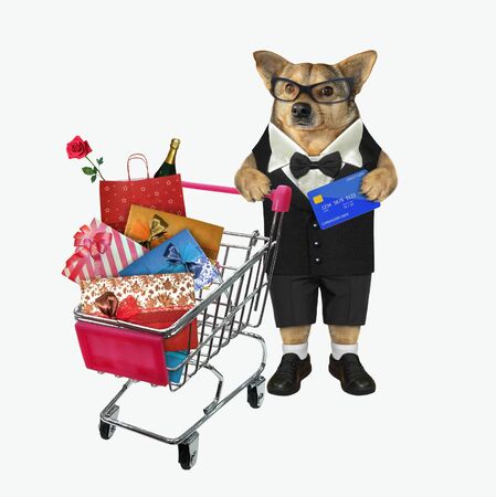 The beige dog in a black suit and glasses with a credit card in his paw is pushing the metal shopping cart full of various goods. White background. Isolated.の写真素材